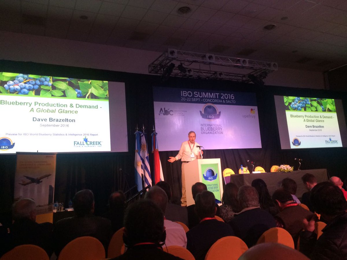 IBOBlueberry's tweet photo. ¡Partimos! Comenzó #IBOSummit 2016. Entre 20-22 de Septiembre de 2016 Salto (Uruguay) y Concordia (Argentina) se visten de azul #Arandanos https://t.co/3iV8AHpxe3