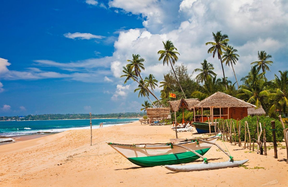 AgencyAntourage's tweet photo. 🌴Шри-Ланка! На крыльях а/к Fly Dubai🐬🐬🐬☀Long Beach Resort 4* Коггала🐒➡Вылет , 7 ночей -.. https://t.co/dh2GpEk8Cv https://t.co/cBdWTcTe34