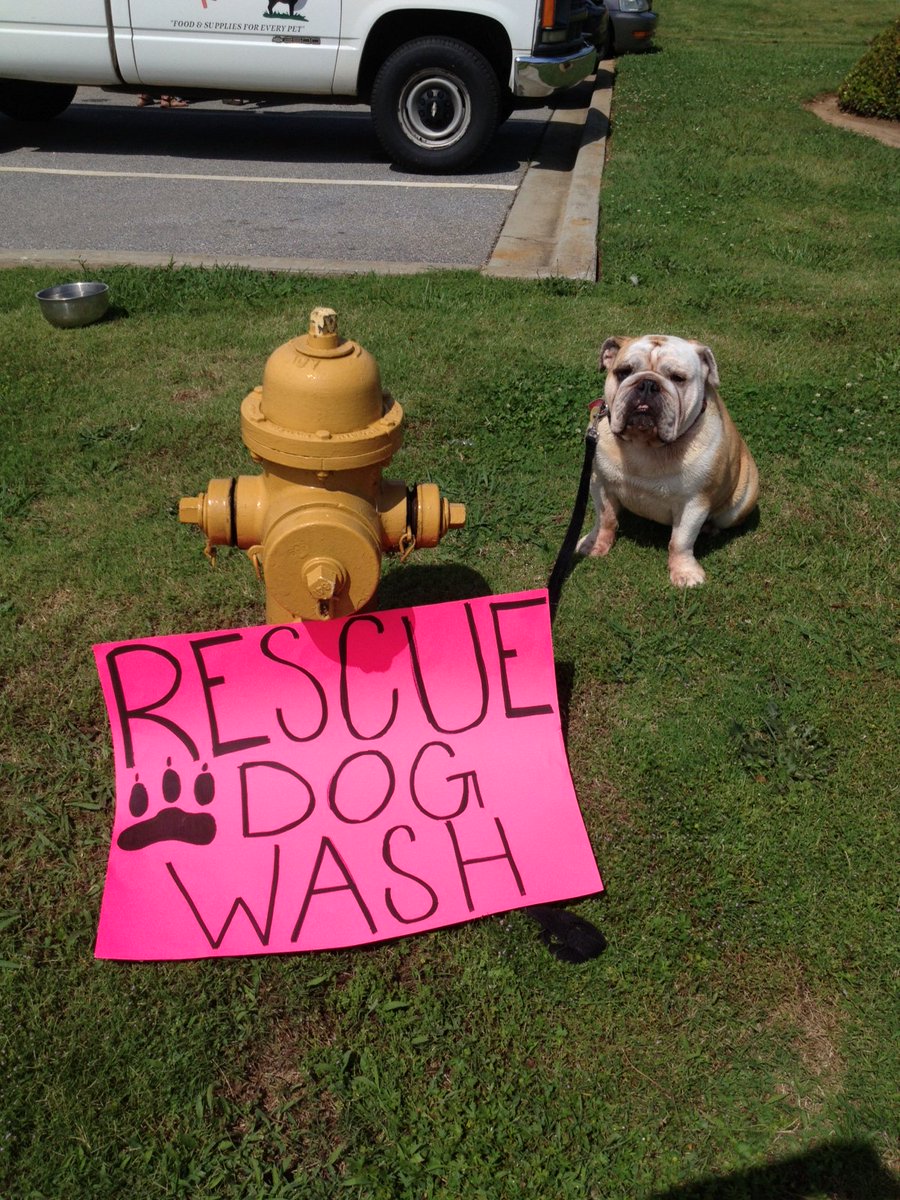 saluda river pet supply