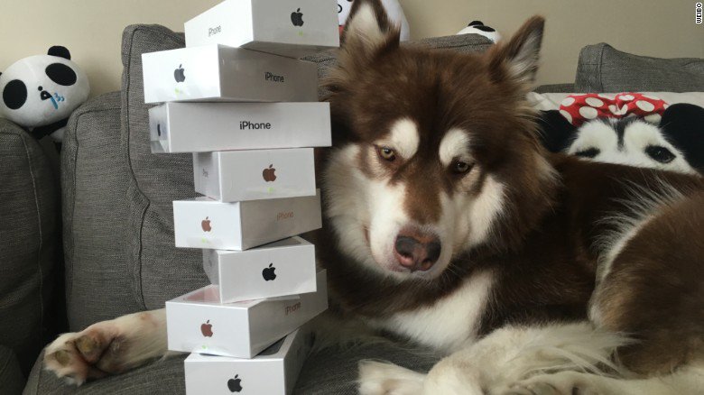 CNN's tweet photo. A Chinese billionaire's son bought his dog eight iPhone 7s https://t.co/rIKgnACb7X https://t.co/KJZjB6WI07