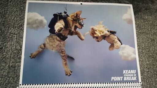 モリカサ 映画 キアヌ 最高でした 猫 ガンアクション 笑い 人類の好きなモノが全て揃った史上初の 人類向け映画 愛する猫を誘拐された時 男たちが立ち上がる 簡単に言えばジョン ウィック 是非 本編で主人公が作るキアヌのカレンダー モリカサ 映画 キアヌ 最高でした 猫 ガンアクション 笑い 人類の好きなモノが全て揃った史上初の 人類向け映画 愛する猫を誘拐された時 男たちが立ち上がる 簡単に言えばジョン ウィック 是非 本編で主人公が作るキアヌのカレンダー