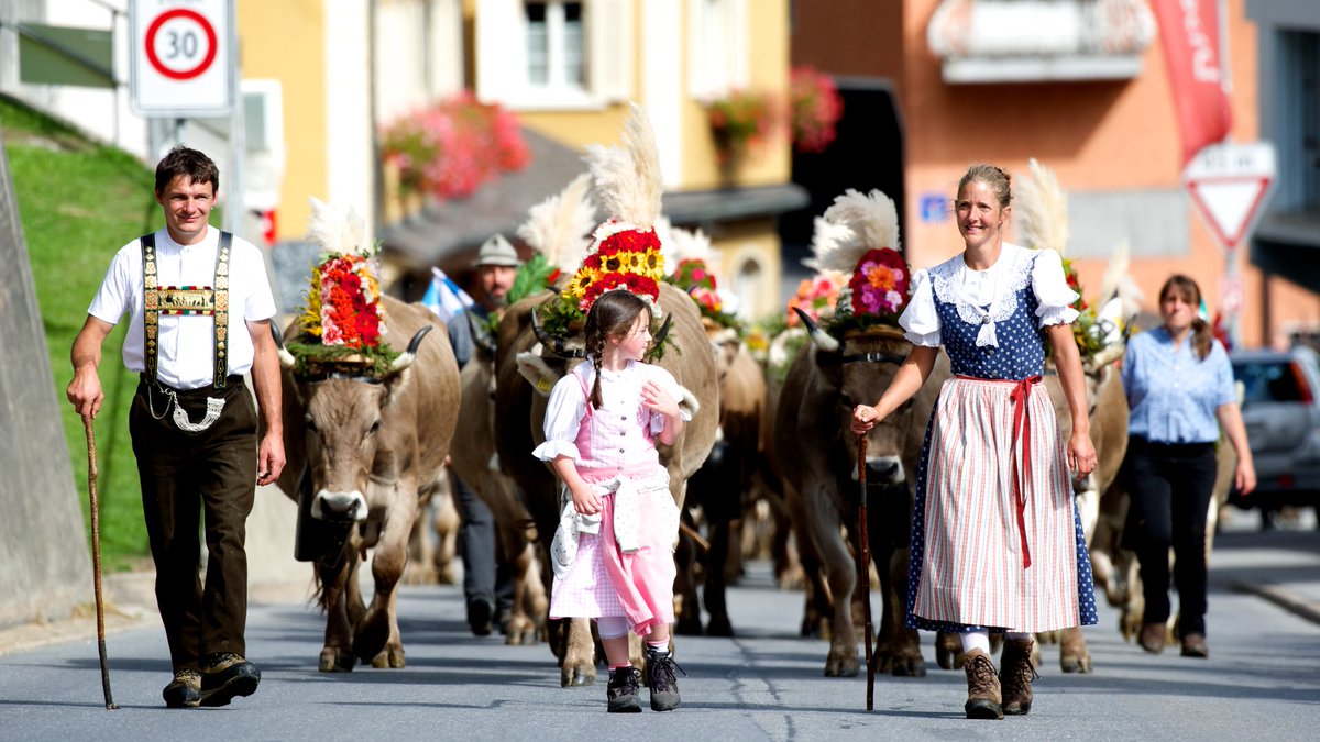 vivadisentis's tweet photo. #Alpazug zweiter Teil: Heute kommen die Kühe von der Alp #Pazzola heim. @Graubunden @MySwitzerland_d #grischapics #VerliebtindieSchweiz https://t.co/bJTmVEUW7D