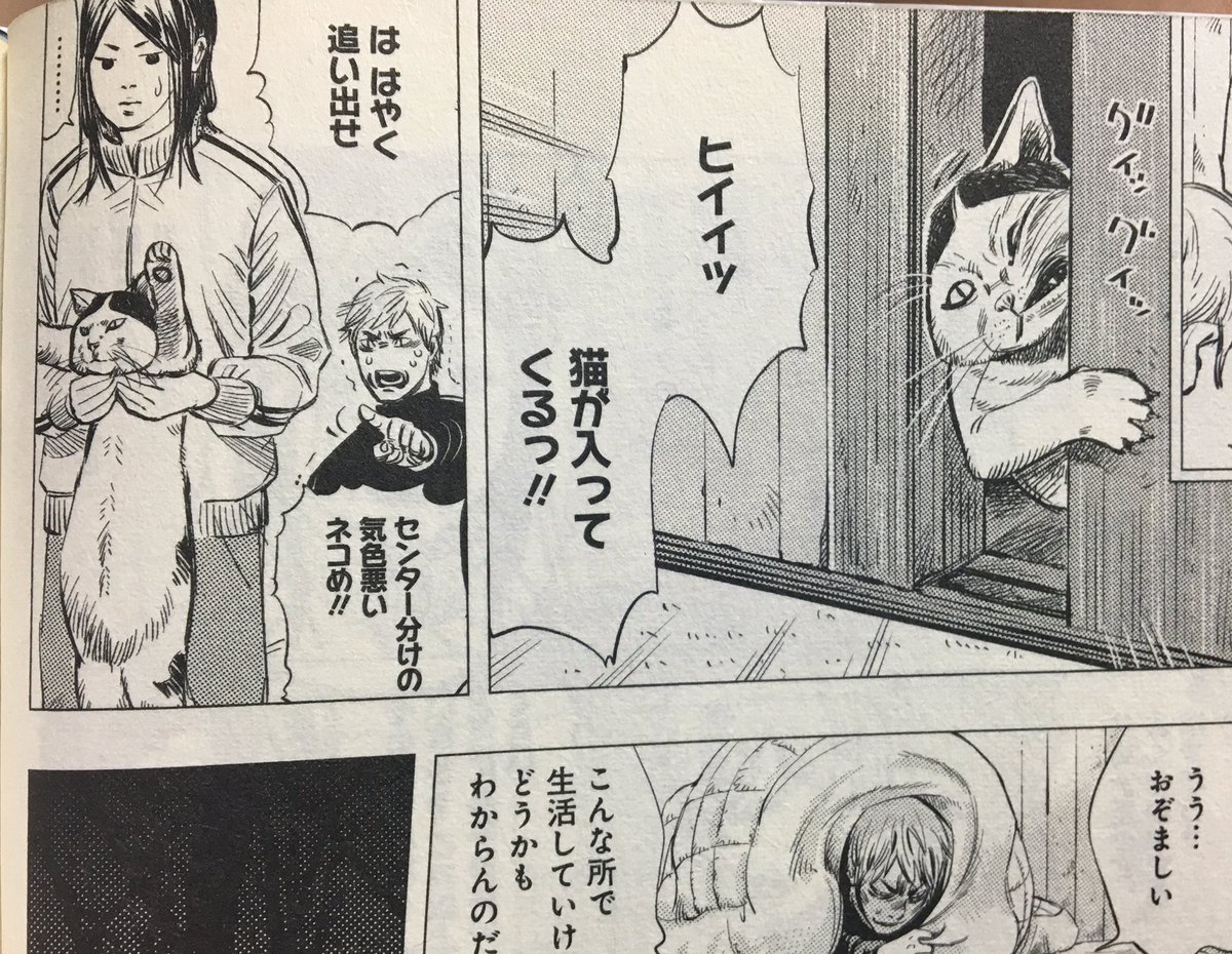 ろん太郎 江渡貝くんの家にいた猫ってスピナマラダに出てた猫だったのね