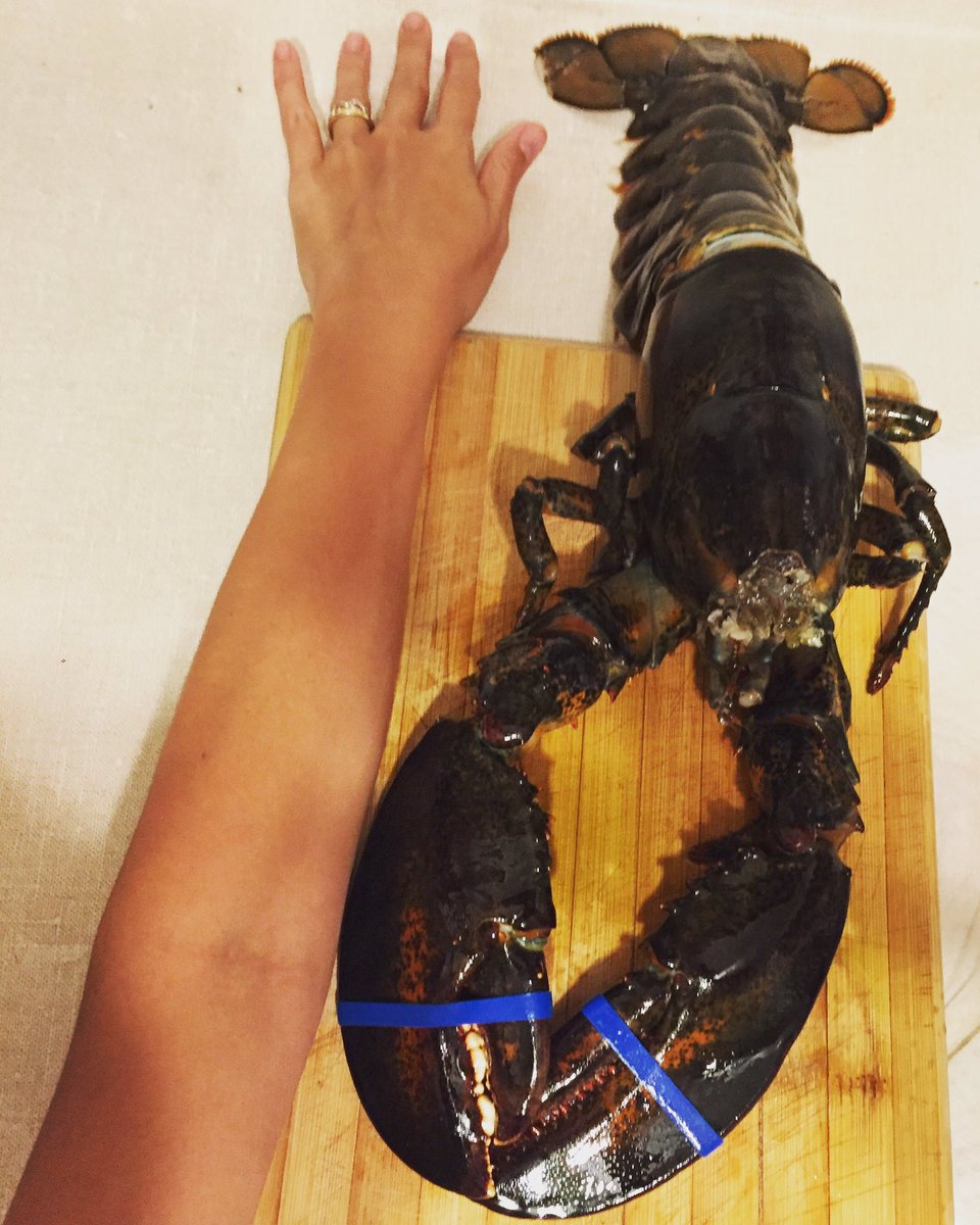 MChef_Isabella's tweet photo. 2kg de puro amor e sabor 😋🦀
#lobster #Torontoeats #torontofood #freshfood #fromthesea #seafoodlover #ReceitasdaBella https://t.co/VhcbWJmeVg