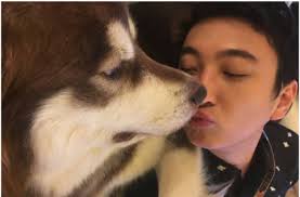 View image on Twitter