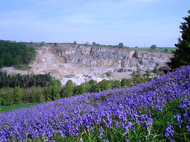 peakdistrict's tweet photo. Join @FriendsofPeak on a walk to celebrate the protection of Blackdale Quarry on 25 Sept: https://t.co/1AtLQwDyRG #LandscapeProtection https://t.co/8iA0sW97x3