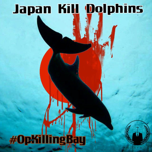 h0t_p0ppy's tweet photo. https://t.co/NBIvoOgZkN #IMATA prove again dolphin captivity is the priority even above live capture #OpKillingBay https://t.co/duvtnlRu35