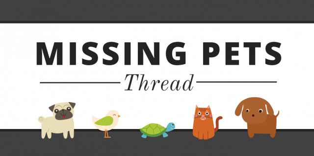 Phelps Veterinary Hospital tweet media