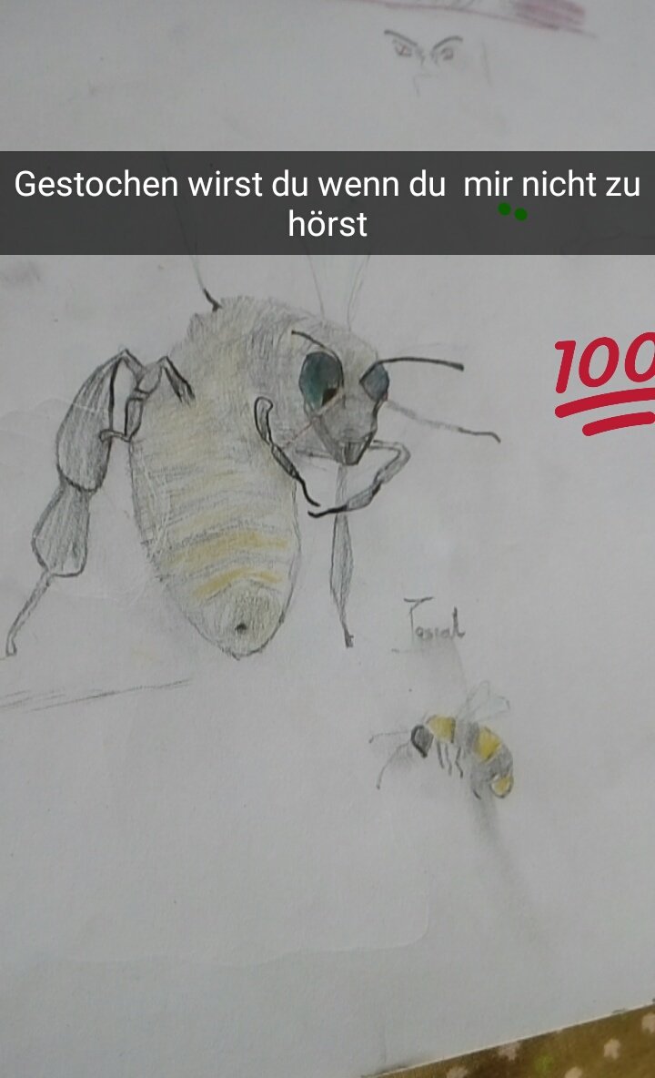 PascalGoodluck's tweet image. 