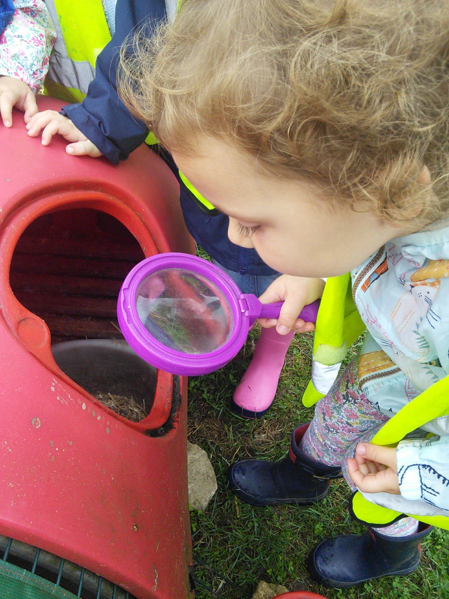 snapcorsham's tweet photo. Today in giraffes the children went on a bug hunt, we found lots in the green house! #outdoorlearning #bugseverywhere #ispy https://t.co/2V6ea3GETp