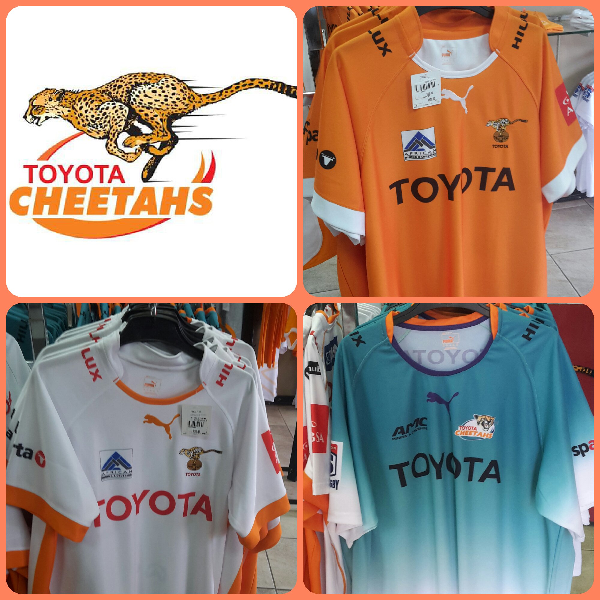 toyota cheetahs jersey