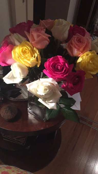 Ver imagem no Twitter