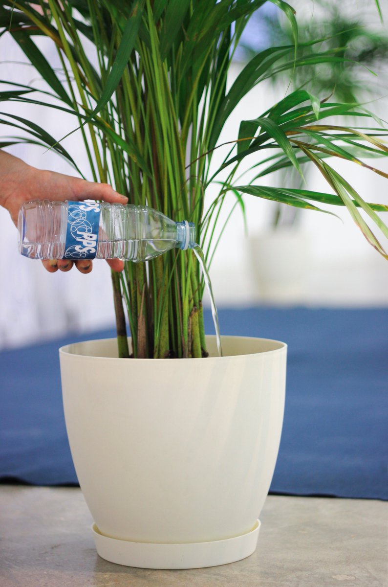 PPS_PPS_'s tweet photo. The air to water technology
#pps #contemporaryart #hydrated #body #pam #hyperconnected https://t.co/bQpHhtKVsK