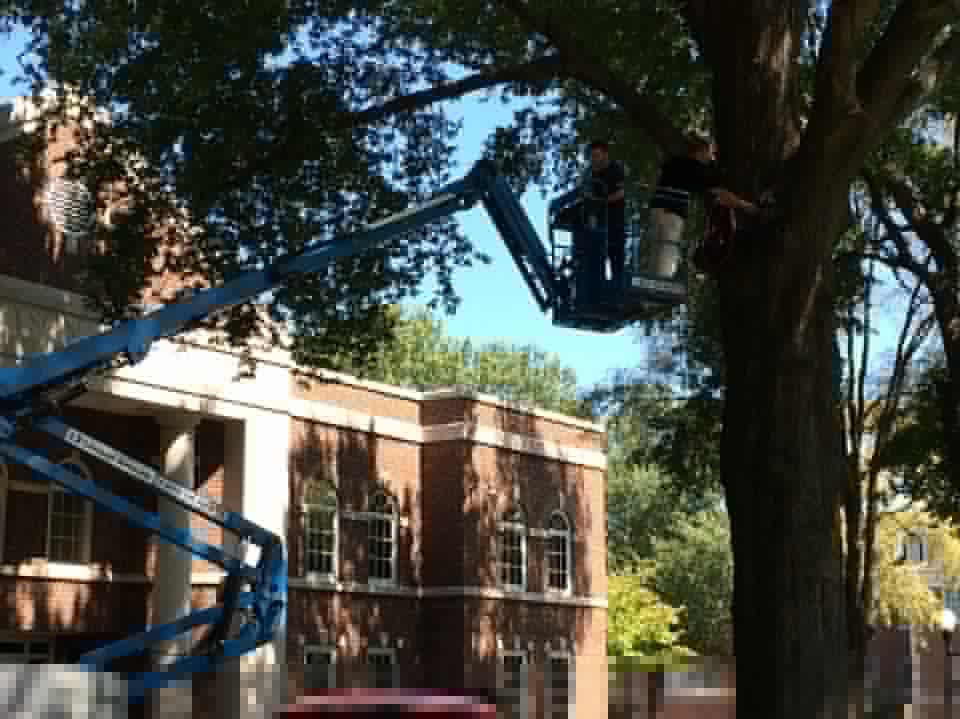 creativenconway's tweet photo. David Graeve--experience his installation in live video.. Coming Soon.. https://t.co/pFdaPyf0CF