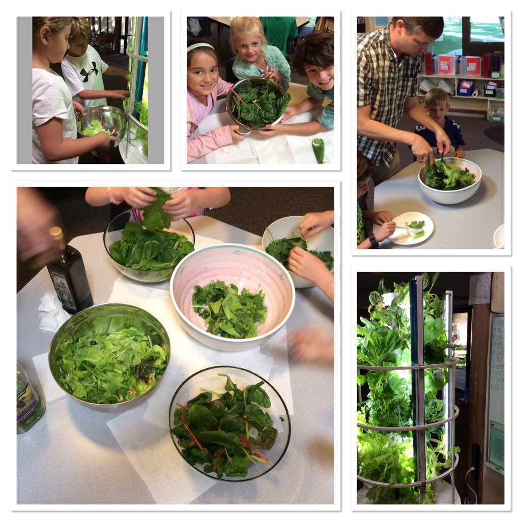 amc1409's tweet photo. Our @LivingTowers and @effelgorp turned Room22 into a salad bar. #greengroup #greenthumbs #lamplighterlearns https://t.co/5Hqu6J23HZ