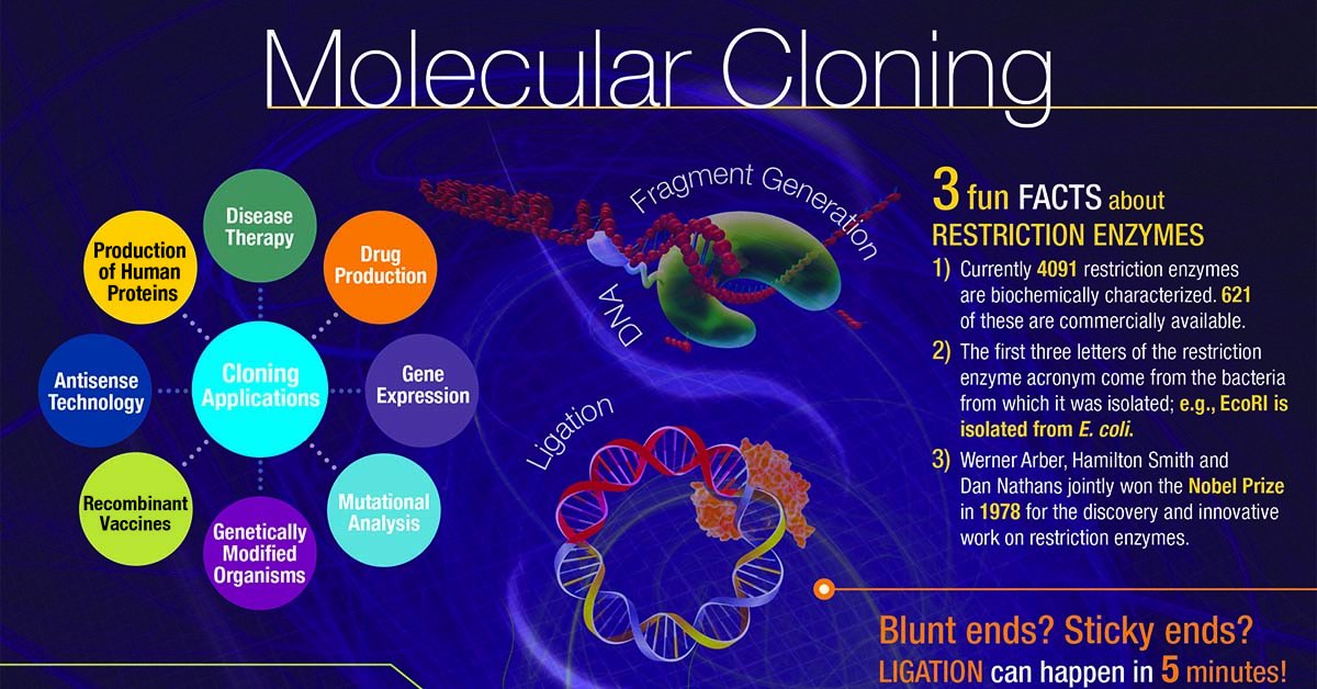 free molecular geometry of body pattern