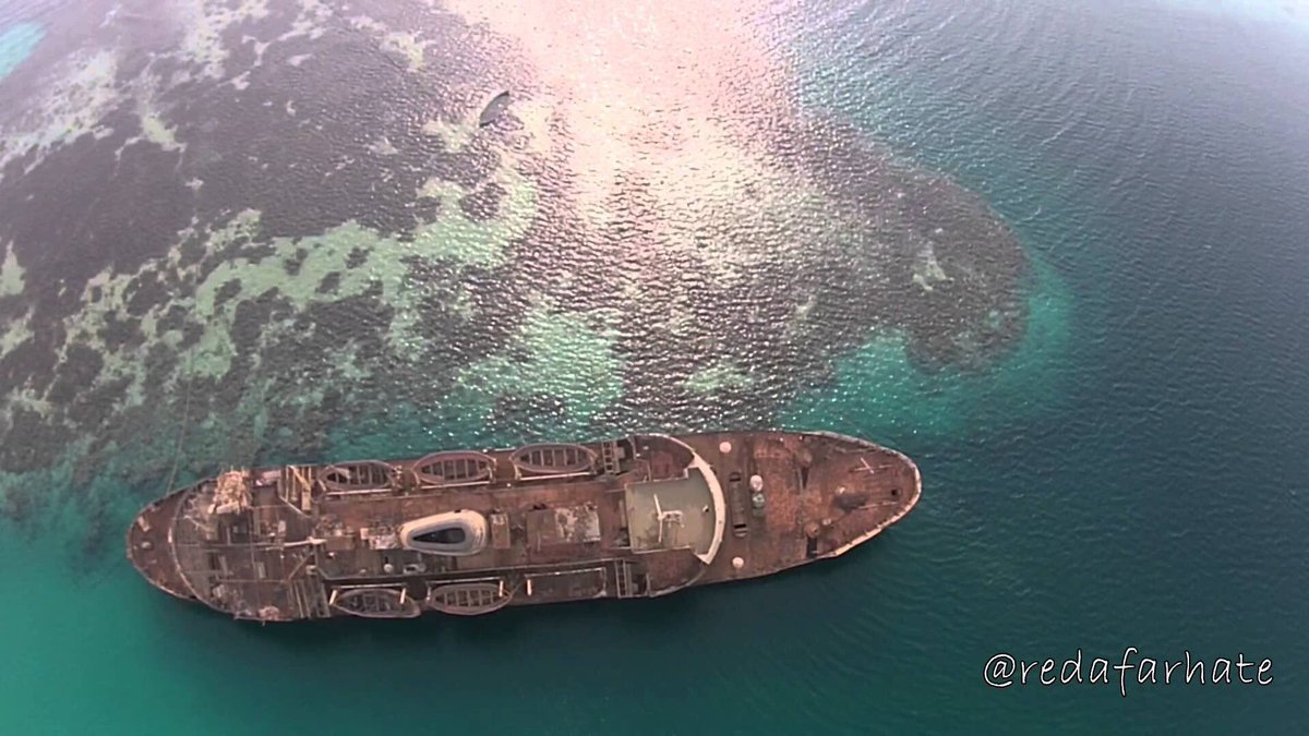 تويتر \ مشاريع السعودية على تويتر: "سفينة الفهد المهجورة منذ اكثر من 15 عام  في البحر الاحمر وبالقرب من مدينة #جدة ، ويظهر تكون الشعب المرجانية بالقرب  منها https://t.co/4BipwClWWf"