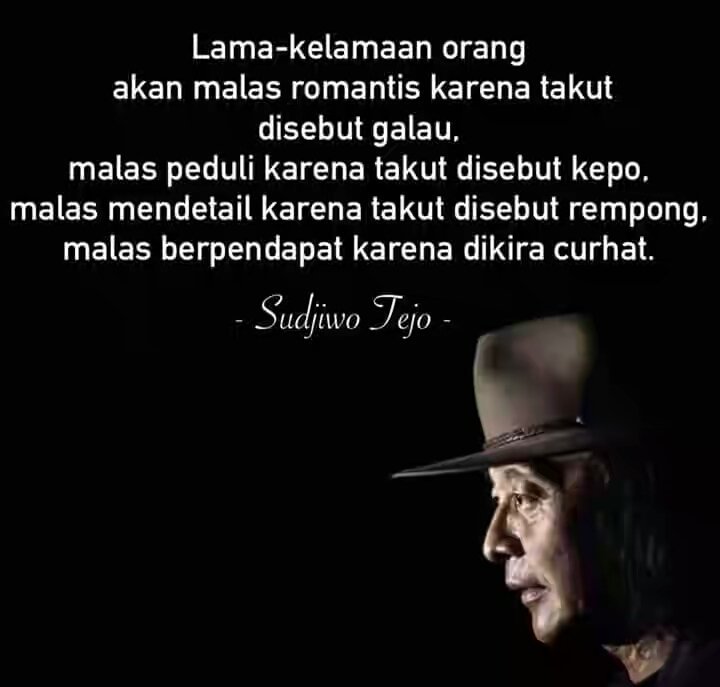 QORINA 🌻 tweet media