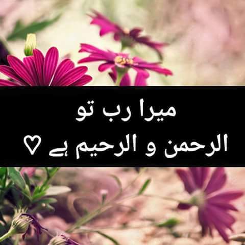 🦋✨ѕнмαмα✨🦋 tweet media