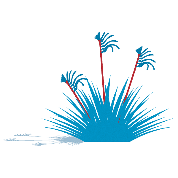 watercorpwa's tweet image. #Waterwise plants have adapted to our climate &amp;amp; can live with less water. Learn more about waterwise #gardens in #WA bit.ly/2cr4xr2