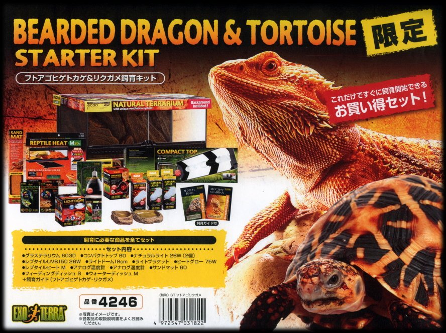 たしろ屋 最終値下げ GEXフトアゴヒゲトカゲの飼育セットのガラス