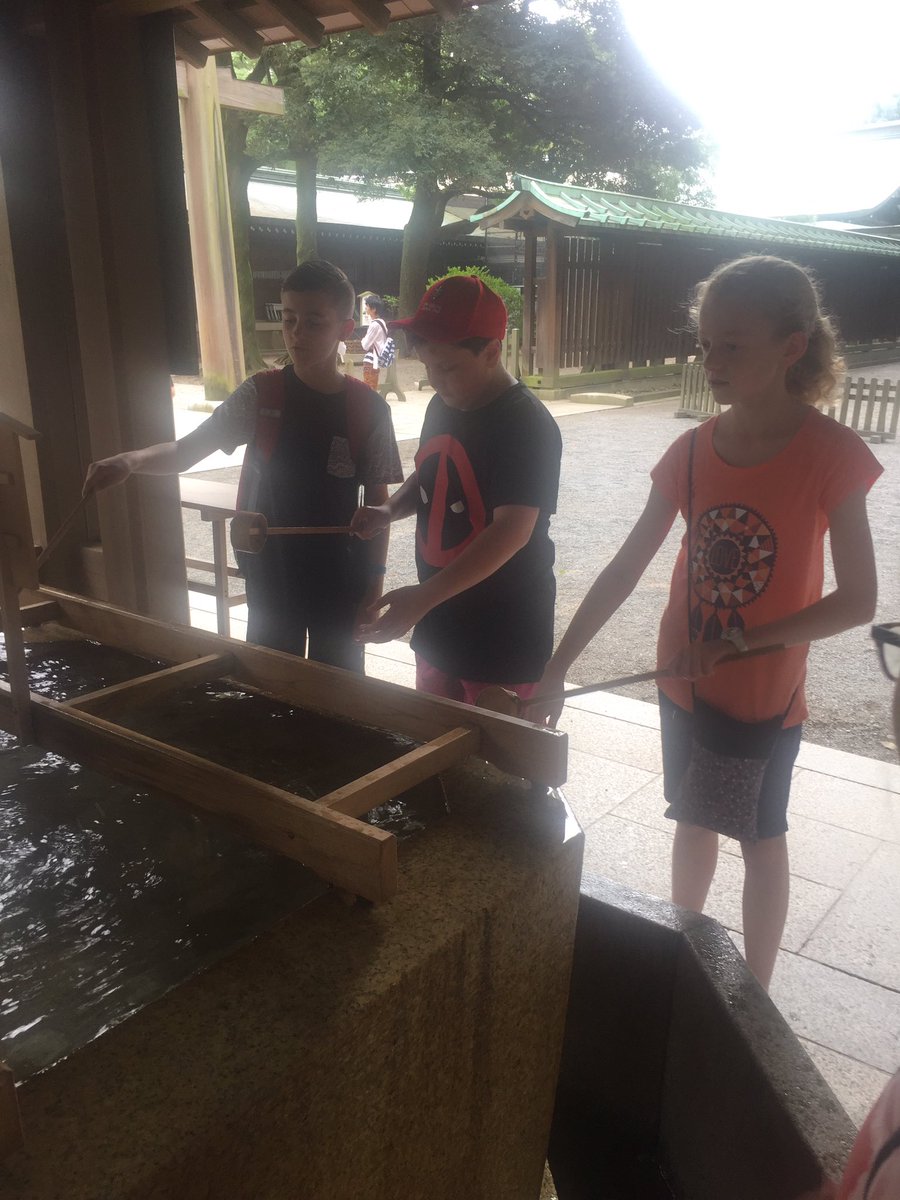 carlybergen85's tweet image. Sightseeing at Meiji shrine @gglps