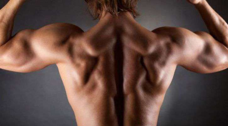 MotivationGM's tweet image. 6 Common Workout Myths !
workouttips.net/6-common-worko…