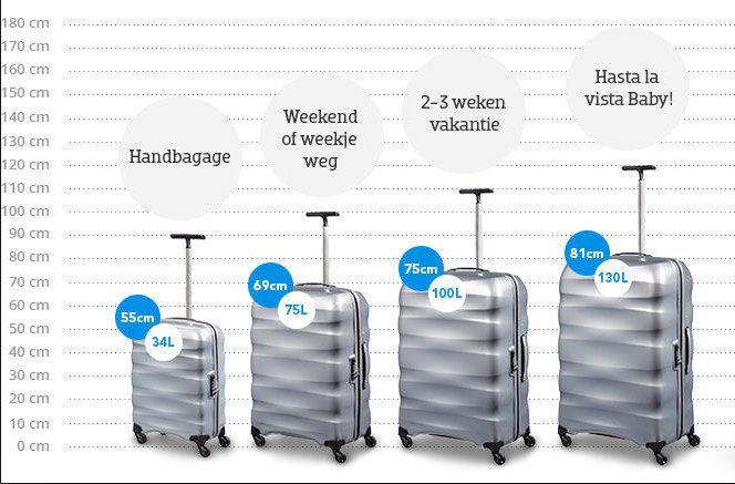 Willen had het niet door Aankoop Twinkerbelll on Twitter: "Wie weet wat de afmetingen van een kofferbak van  een #Ford Fiesta zijn? Geen idee hoeveel koffers er in passen.... #vakantie  #autohuren" / Twitter