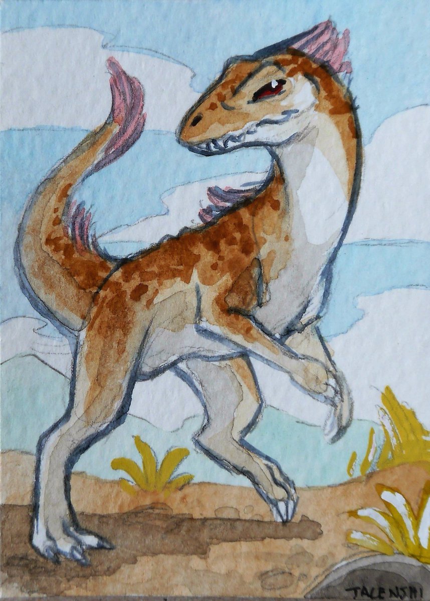 Latrosaurus's tweet photo. Rar! A little Allosaurus on the prowl by @kstalenshi from #RMFC2016 :D https://t.co/kBqZ1mcFHg