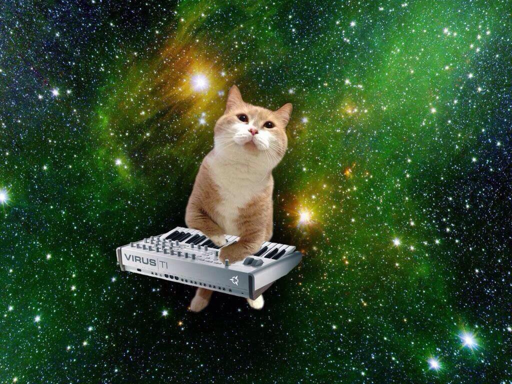 宇宙ねこちゃん通信 宇宙ねこちゃん