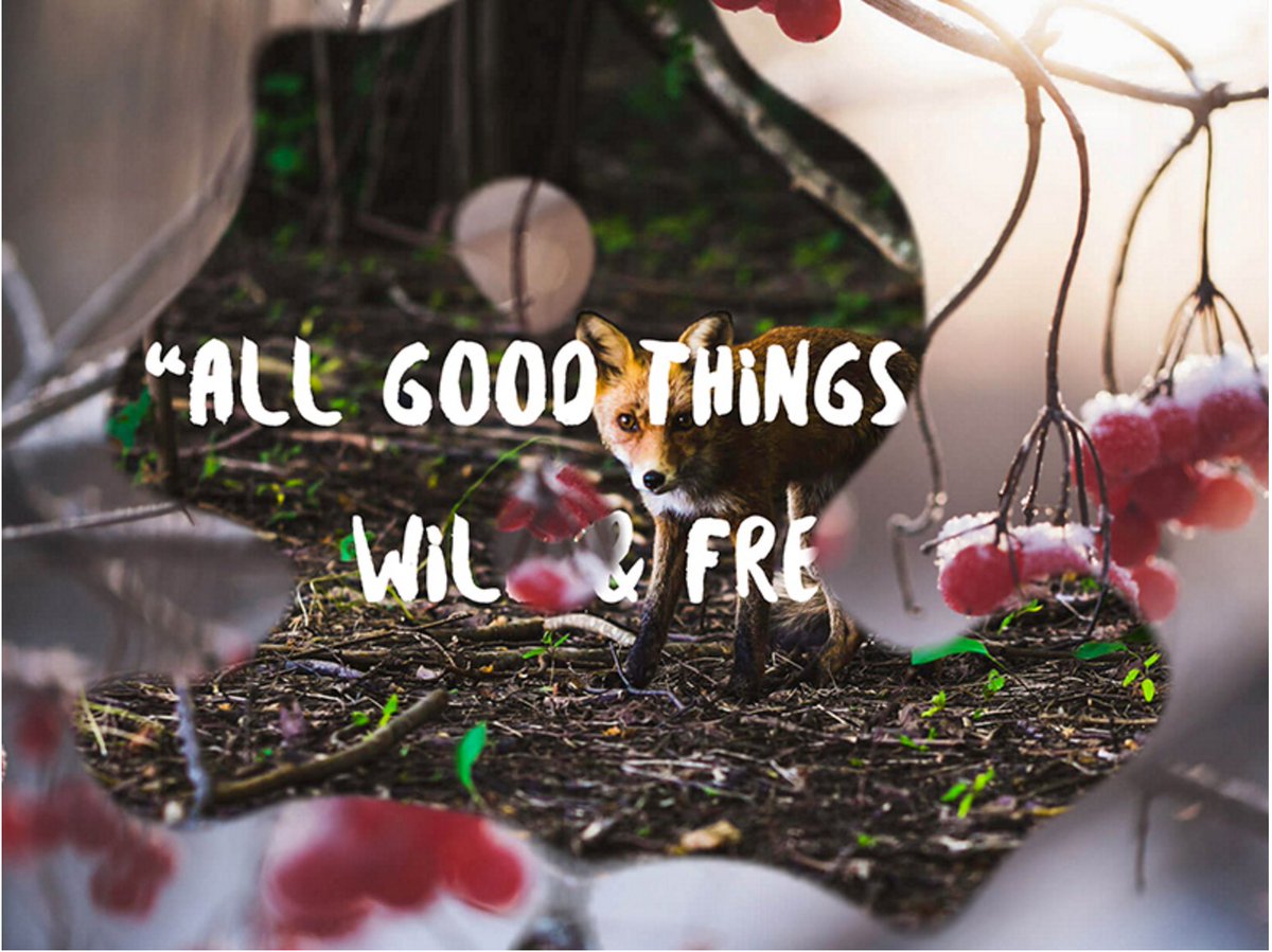 Designwithmath_'s tweet image. I would love to try this cool transition effect using CSS Masks in my next project bit.ly/2dSL1Hr