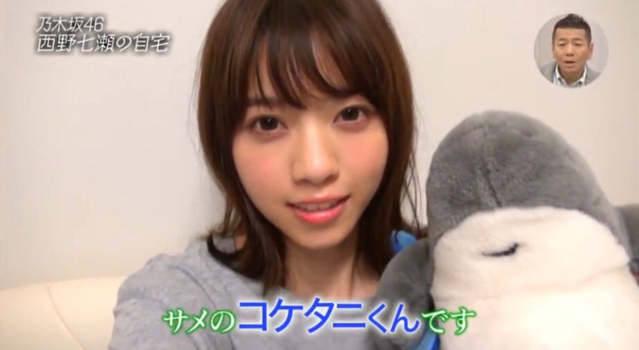 西野七瀬 コケタニくん＆どいやさん ぬいぐるみ Amazon.co.jp: コケタニ君 ぬいぐるみ （小） 乃木坂46 西野七瀬