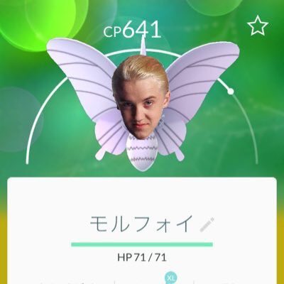 モルフォイ