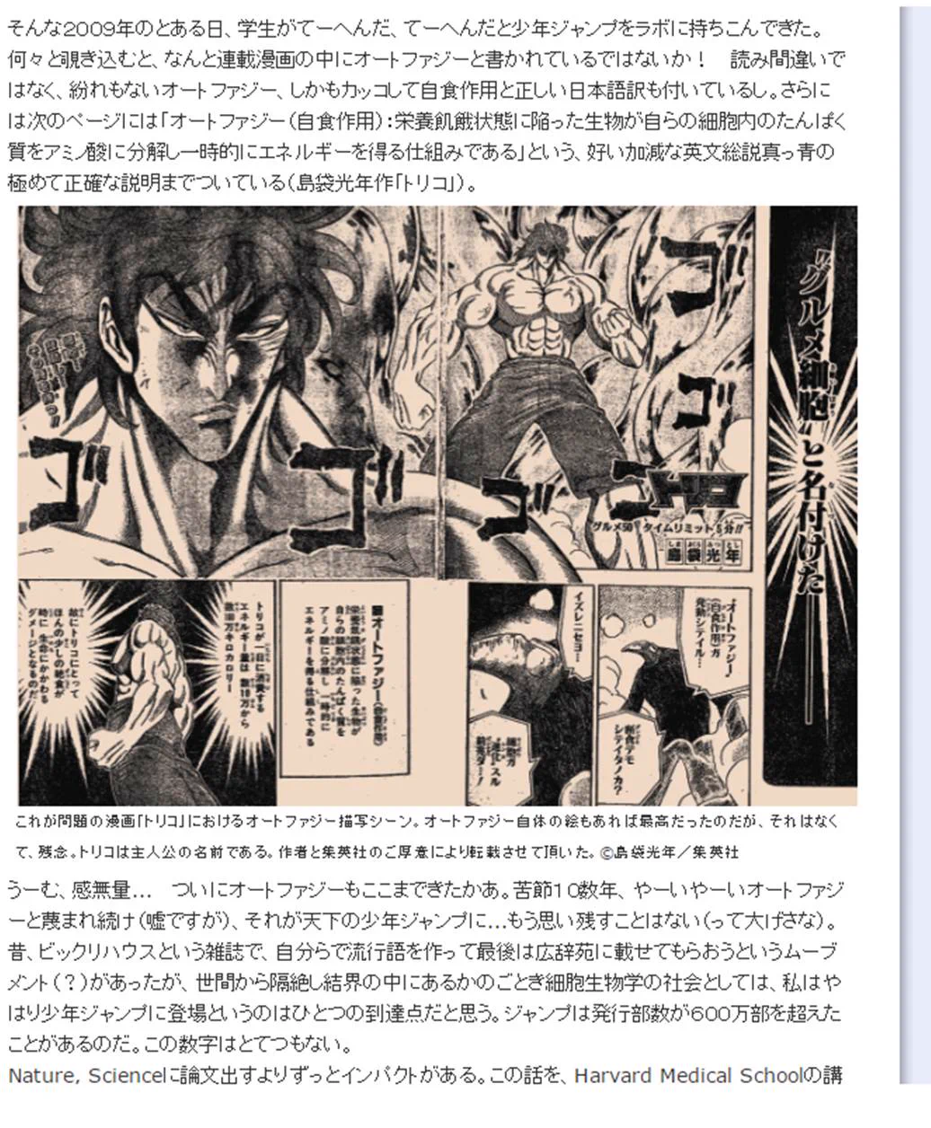 公の場での発言・インタビュー報道記録