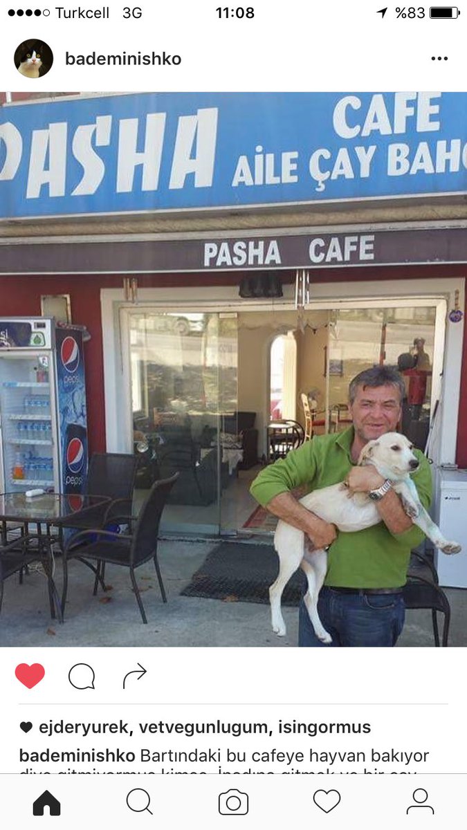 Bu kafeye hayvan bakıyor diye kimse gitmiyormuş. Bartın'da. RT ediverin de hayvanseverler akın etsin.