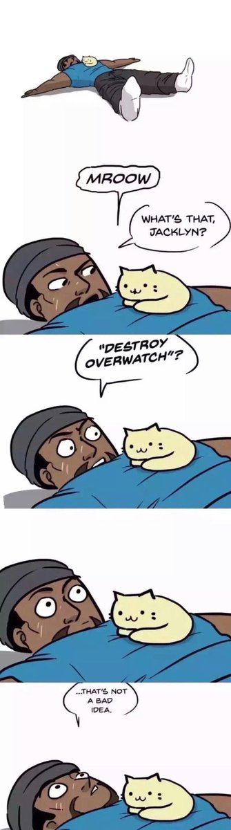 Markus likes his new Cat.
