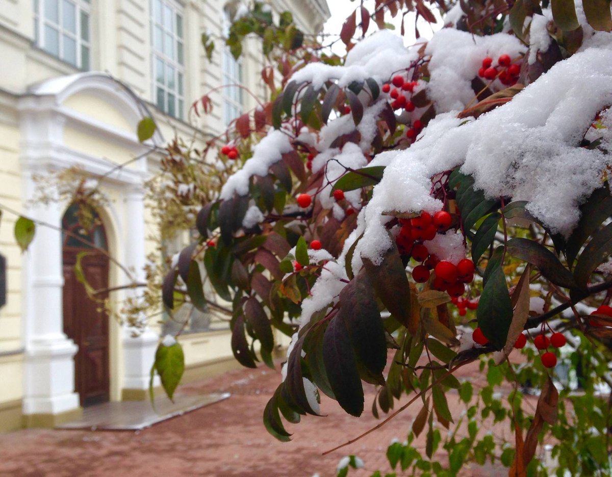Осенний снег в Петербурге