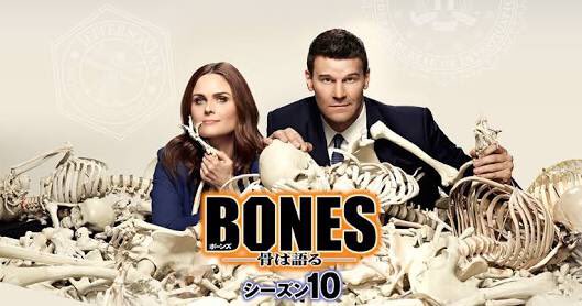 Bones ボーンズ S1の無料動画 吹き替えならココ あらすじと感想情報あり
