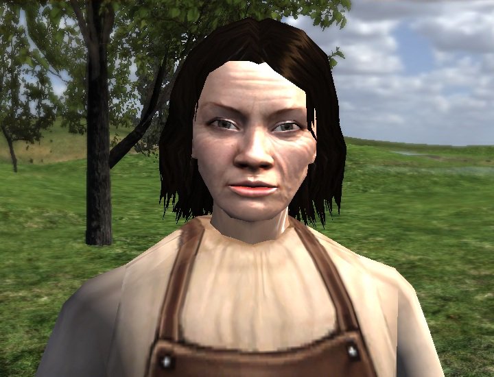 borcha mount and blade borcha mount and blade