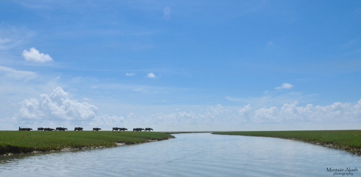 MuntasirAkash's tweet photo. March till your soul corrodes away into the cosmos

#Bangladesh #BeautifulBangladesh 
#GangesDelta 
#DomarChar #NijhumDweep https://t.co/bwgIeTKAZE