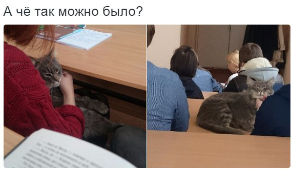А если убежит?? Вот ищи свищи по школе 😁😱