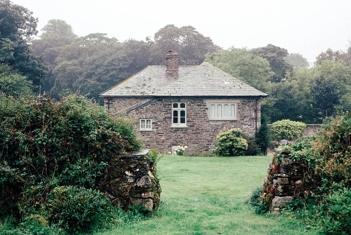 Bloomberg Pursuits tweet media