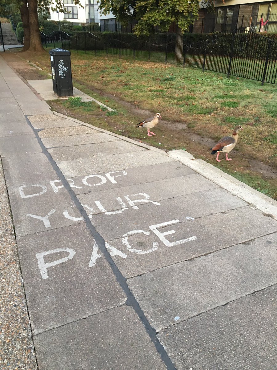 MaudGGirl's tweet photo. Drop your pace. #morningrun #mondaymotivation #london #running https://t.co/4YrCpGzbPo