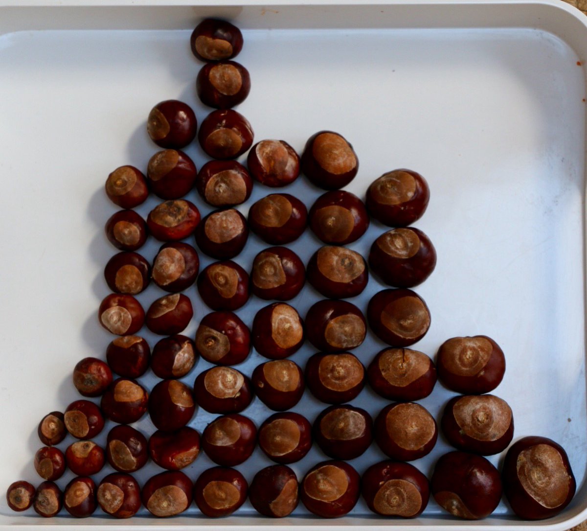 You know how we use species-level means for traits like propagule size…