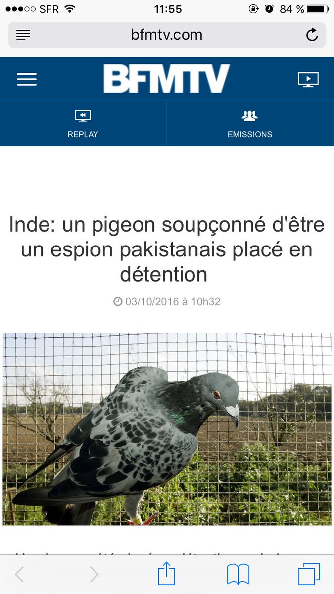imFizk's tweet photo. PTDRRR jsuis en larme https://t.co/hkMAf7eej3