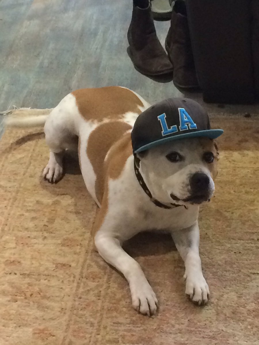 tim ramm (@ramm_tim) | Twitter