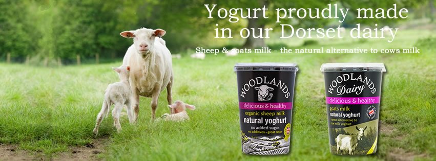 Woodlands Dairy tweet media