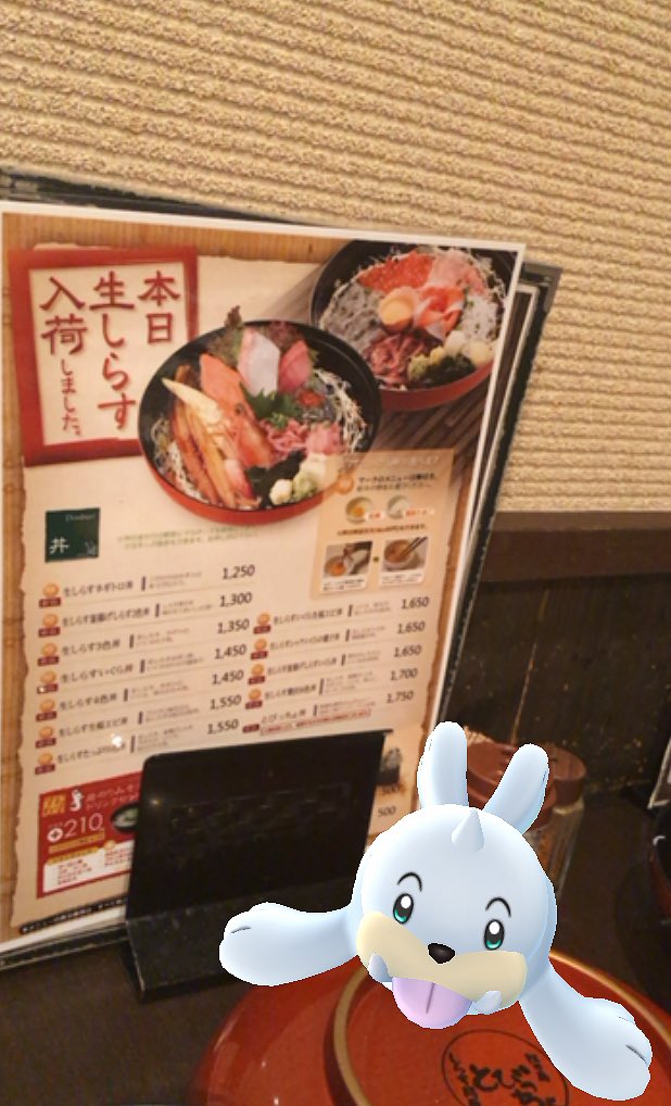 紺野 今から踊るってよ ピカチュウ写真は 10月ではありますが遅い夏休みを頂き 大好きな江ノ島に行った時のものです ポケモン すごいと聞いていたので開くと本当にポケモン天国 たくさんいました 紺野あさ美