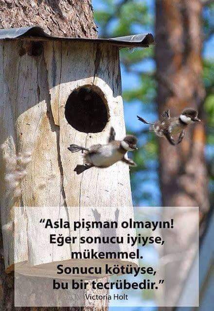 muharrem_bil's tweet photo. https://t.co/fFmVuSO4WD