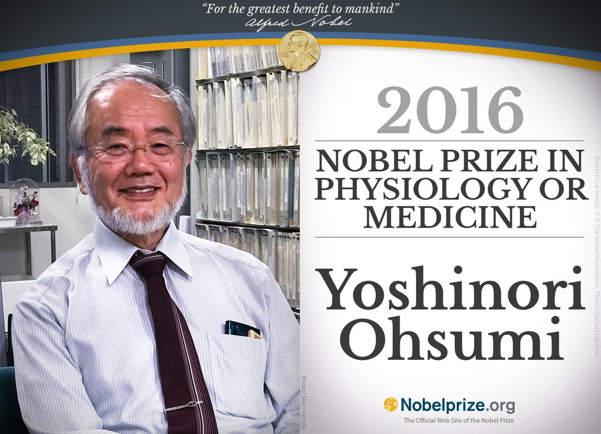 The Nobel Prize on Twitter: "2016 Medicine Laureate Yoshinori ...